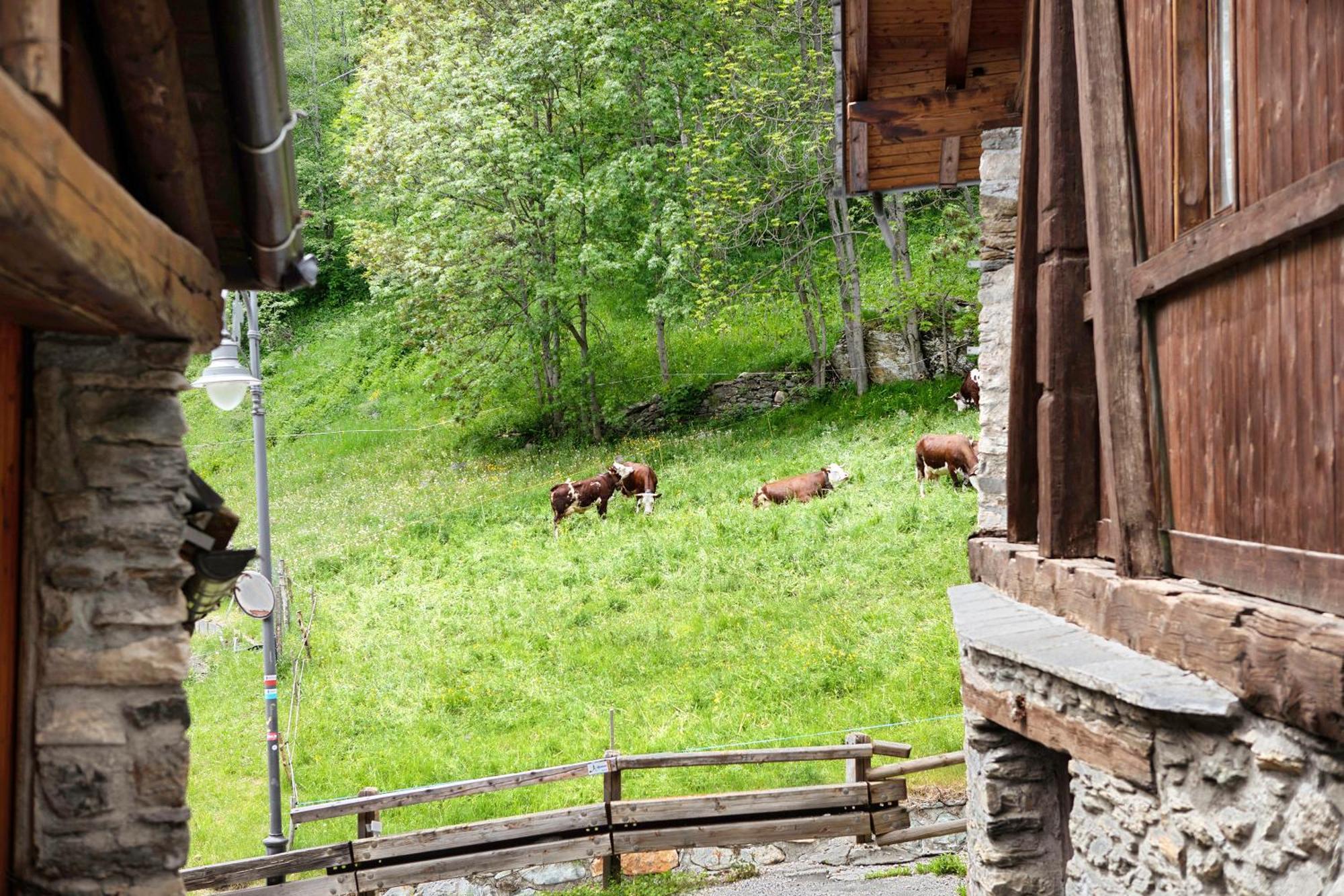 Apartmán Aux Pieds Du Malatra' 1 Saint-Rhemy-En-Bosses Exteriér fotografie