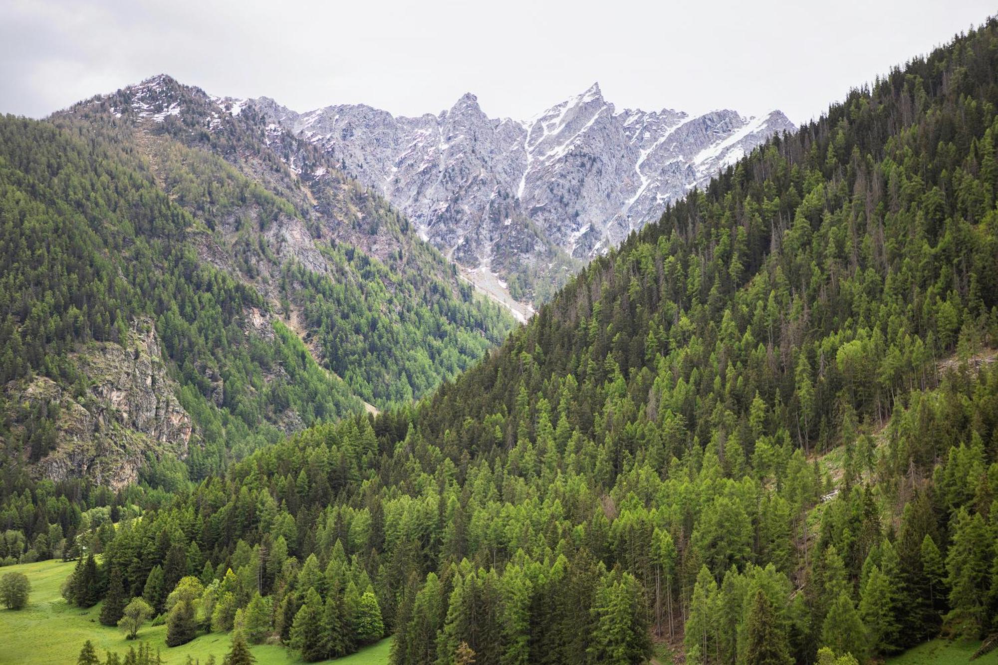 Apartmán Aux Pieds Du Malatra' 1 Saint-Rhemy-En-Bosses Exteriér fotografie